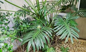 Imagem 7: APARTAMENTO A VENDA GARDEN COM 144 METROS SENDO 70 METROS DE QUINTAL 2 DORM. 1 STE 2 GAR