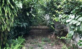 Imagem: Casa Térrea, Butantã - São Paulo