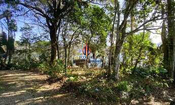 Imagem 5: Terreno à venda, Praia Vermelha - UBATUBA/SP