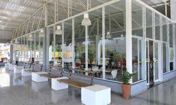 Imagem 4: Imóvel Industrial & Logístico em Jarinu - SP