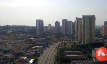 Imagem 6: São Paulo - Apartamento Padrão - Jabaquara