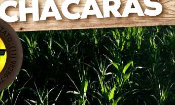 Imagem: Terrenos e chácaras no Interior Totalmente