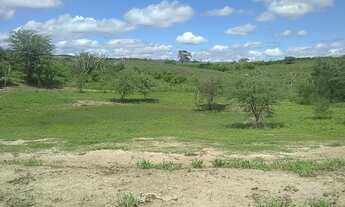 Imagem 3: Terreno/lote, na zona rural de Gravatá PE, com 98 hectares