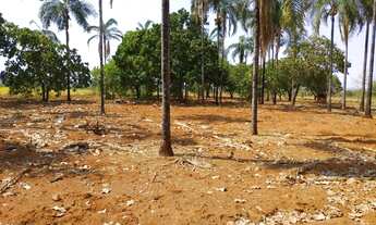 Imagem 6: Fazenda 210 Alqueires Minaçu