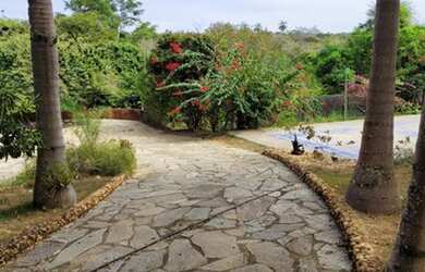 Imagem 3: Chácara à venda, Rural, Jequitibá, MG