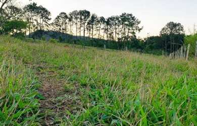 Imagem 3: M03-Ótima localização