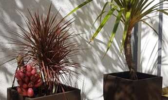 Imagem 7: Fazenda/Sítio/Chácara para venda tem 84500 metros quadrados com 3 quartos