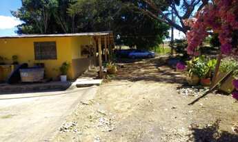 Imagem 6: Chácara no Incra 6 com casa e várias benfeitorias