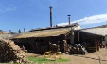 Imagem 7: Galpão/Depósito/Armazém para venda tem 12994 metros quadrados em Canabarro - Teutônia - RS