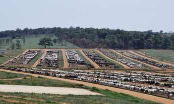 Imagem 2: ET - Crédito Rural - Compra de Imóvel - Milho Soja Cana Gado Trigo Feijão