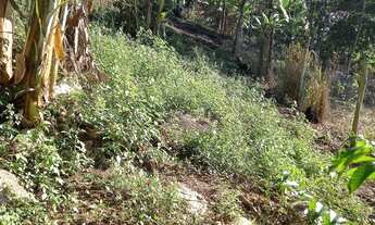 Imagem 4: Vendo casa vargem grande