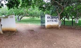Imagem 2: Fazenda/sítio/chácara/industrial/logistica com 25 hectares em Pombos