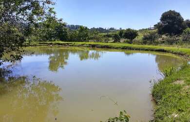 Imagem 6: Chácara com 3 dormitórios à venda, 8700 m² por R$ 690.000,00 - Iperó Mirim - Araçoiaba da