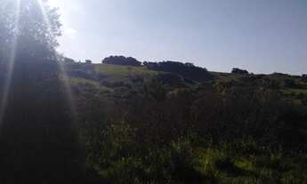 Imagem 7: Chácara para venda com 20000 metros quadrados em Criúva - Caxias do Sul - RS