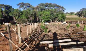 Imagem 3: Vendo Chácara no município de Nerópolis 2.500 m²