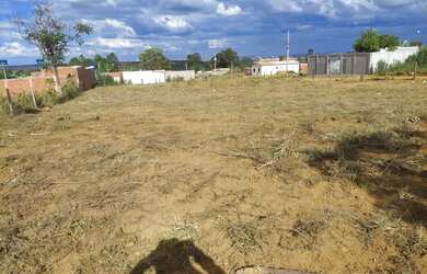 Imagem 5: Lote 26 de setembro