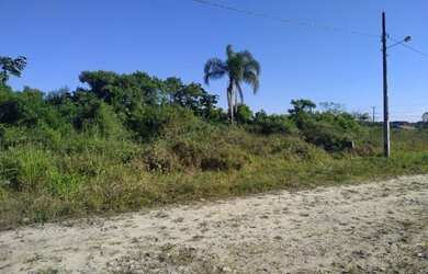 Imagem 3: Vendo 2 lotes na Praia do Ervino