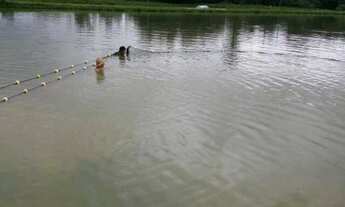 Imagem 2: Itacoatiara - Fazenda - Araújo Costa