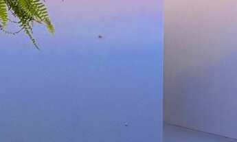 Imagem 2: Oportunidade única