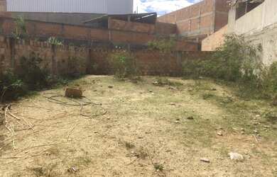 Imagem 5: Lote em Contagem