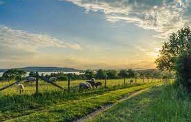 Imagem 2: NOVA OPORTUNIDADE - Crédito Rural grupo em andamento