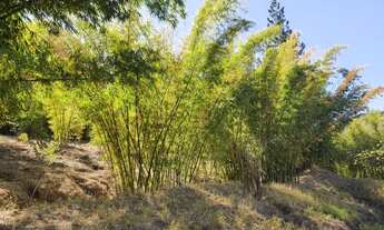 Imagem 7: TERRENO VENDA NO COND. MORADA DAS NASCENTES EM JOAQUIM EGÍDIO, CAMPINAS DE AT.1.690m², FRE