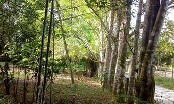 Imagem 3: Sítio Grande com uma fonte no fundo