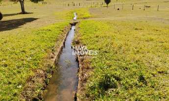 Imagem 2: Fazenda à venda, Rural, Camapuã, MS