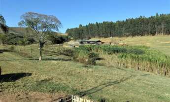 Imagem 4: Fazenda/sítios/chácaras com 3 dormitórios à venda em Carvalhos