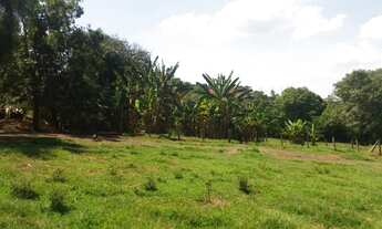 Imagem 7: Fazenda/Sítio/Chácara para venda possui 38000 metros quadrados em PORTO FELIZ - Porto Feli