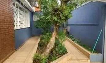 Imagem 3: Santo André - Casa Padrão - Vila Metalúrgica