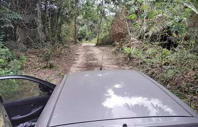 Imagem 3: Vendo Terreno Alter do Chão Prox Estrada Pindobal