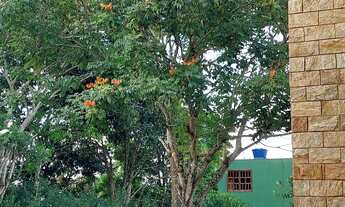 Imagem 2: Sítio no distrito de Sereno