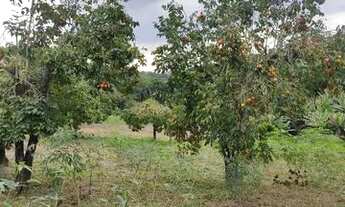 Imagem 3: C- Documento 100% seguro