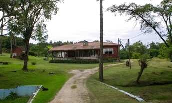 Imagem 5: Chácara em Colombo - ARYA 1