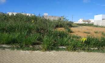 Imagem 2: Lote 300m real Garden faz vitali