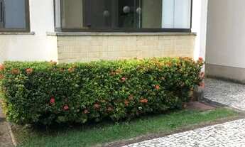 Imagem: Apartamento térreo passare