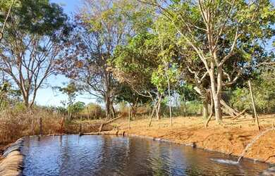 Imagem 4: Chácara JD. Morumbi - Planaltina DF VD/Troco