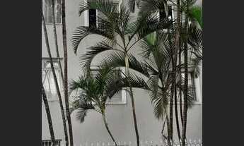 Imagem: Apartamento para venda possui 67 metros