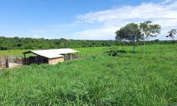 Imagem: Sítio 8,5 Alqueires c/ 21 piquetes e mais