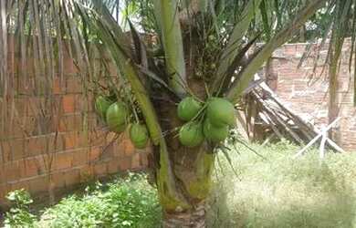 Imagem 6: Vendo Casa Rio Tinto