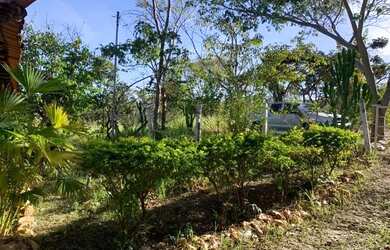 Imagem 5: Sitio 4.700m² com casa, nascente de aguas cristalina, Jaboticatubas