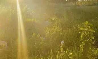 Imagem 6: Vendo casa Casa com 2 dormitórios