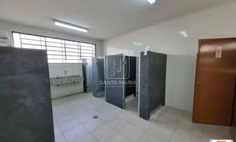 Imagem 4: Salão/Galpão (salão - térreo