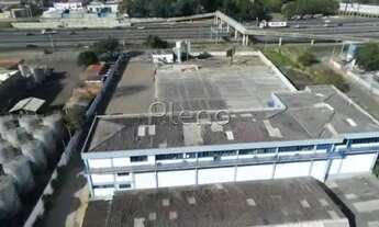 Imagem 4: Galpão - Jardim García - Campinas