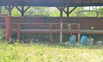 Imagem 2: Espetacular Fazenda com quase 5.200 Hectares