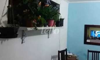 Imagem 3: São Paulo - Casa Padrão - Cambuci