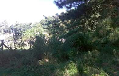 Imagem 2: Barbada....Terreno no Bairro Cidade Nova