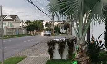 Imagem 3: Aluga se excelente apartamento 2 quartos, centro de SJP direto proprietário