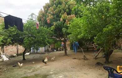 Imagem 6: Vende-se casa no Silvio Botelho